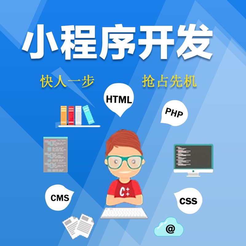 电商系统定制：为您的商业插上翅膀